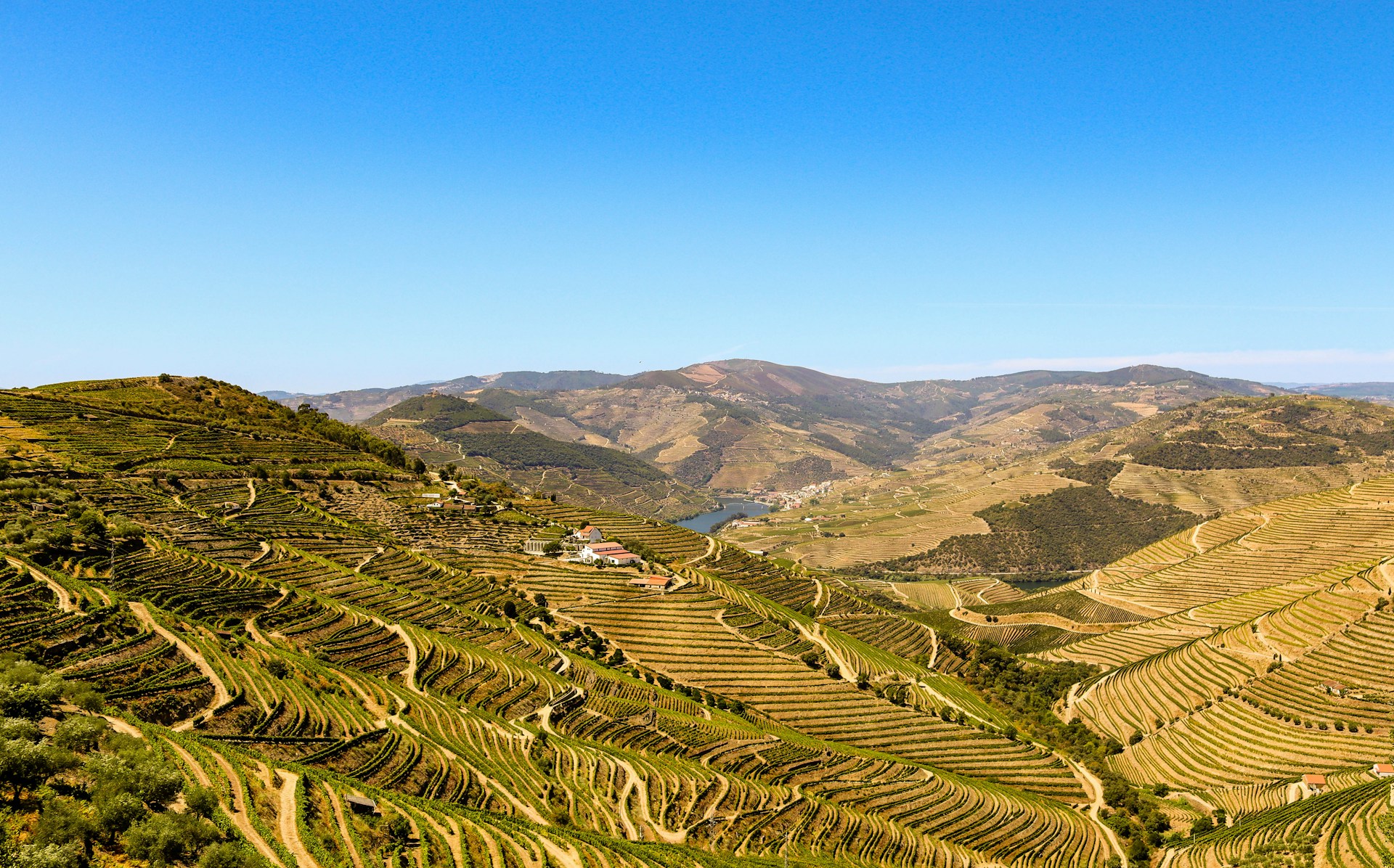 Douro 02