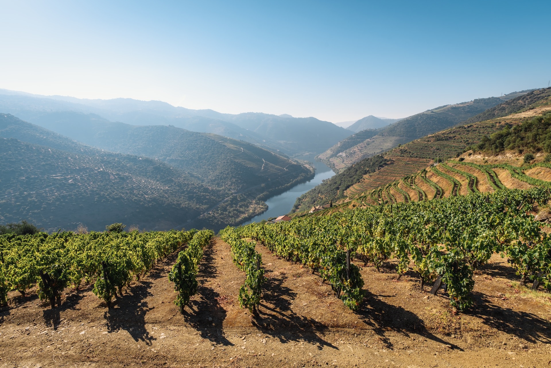 Douro Portugal